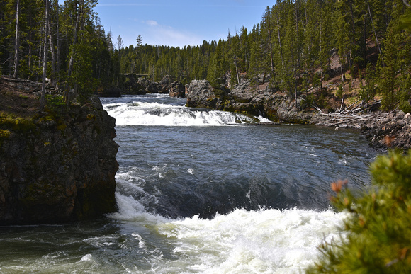 River Yellowstone National Park