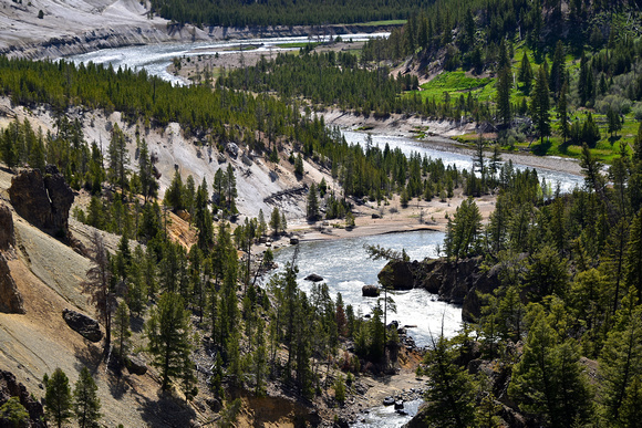 River Scene Yellowstone National Park