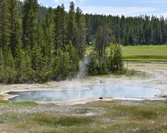 Geothermal Feature Yellowstone National Park