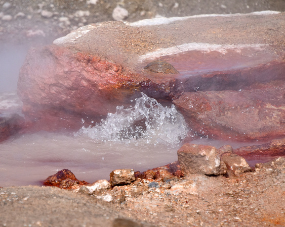 Geothermal Feature Yellowstone National Park