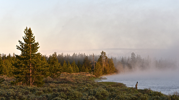 Misty Morning Yellowstone National Park