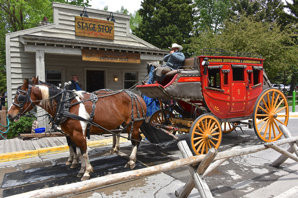 Stagecoach in Jackson Hole