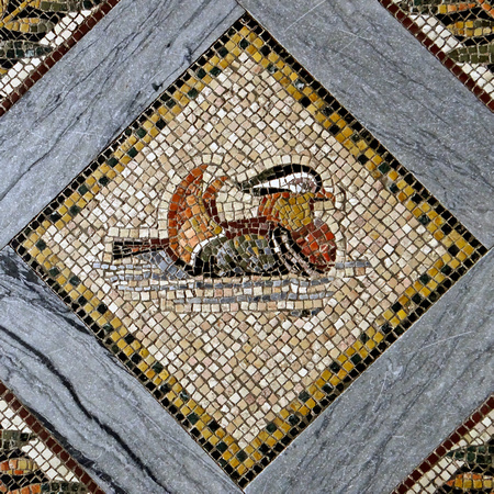 Floor Mosaic in Church of the Visitation Israel