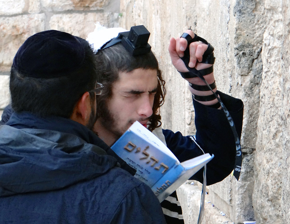Prayer at Western Wall Jerusalem