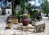 Mount Carmel Church Courtyard Israel